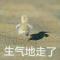 浪里小白龙