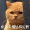 普通老百姓