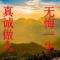 真诚无悔