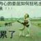 生命的云彩
