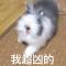 冬眠不觉晓