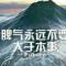 清风烈酒