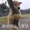 小李来一刀