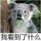 郭兄