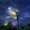 via    via