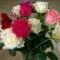 325rose