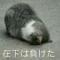 刘某