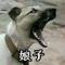 肥宅