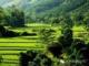 李勇