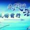 禾之木