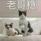 勇闯天涯