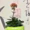 昌．老师^_^
