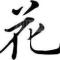 泡泡