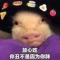 不懈奋斗