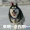 倪方