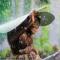 一窗烟雨.鑫钺