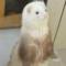 北海几经夏