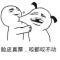 霉霉的堂弟福福