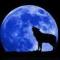Wolfe