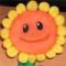 sun大海