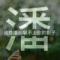 一路有你