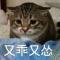 糖啵