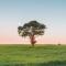 用户10xxx74