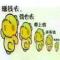 涂涂
