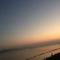 小杨