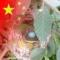 普罗米修斯