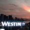 Westin礼宾部