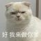 纯粹