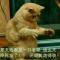春去花还在