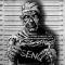 senQ