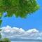 非牛顿流体