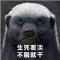 墨暖