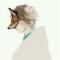 Aimer