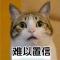 记忆
