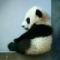 丶纯情小伙