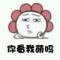 Lee 。