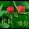 如烟如雾