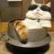 特斯拉熊猫