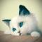 疯猫