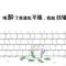 以笑为红颜
