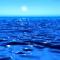 流氓先生