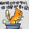 柴火妞儿77