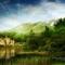 木头