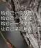 河豚