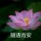 陈林欣妈妈