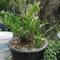 随缘来